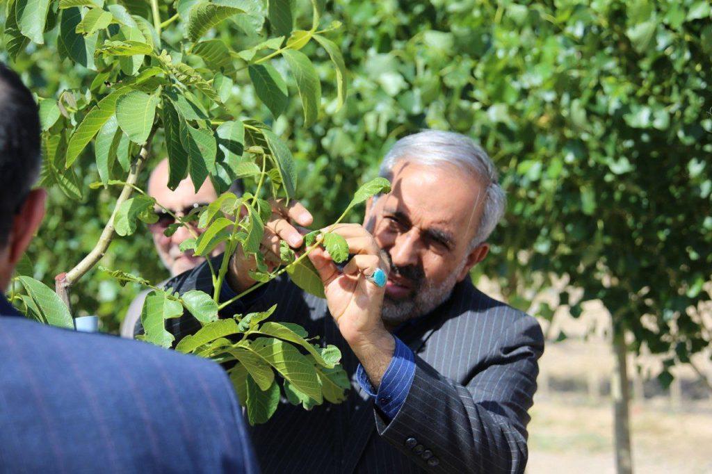 منطقه آزاد ماکو میزبان جمعی از اعضای کمیسیون فرهنگی مجلس؛ گام بلند برای توسعه‌ای متوازن و آینده‌ساز
